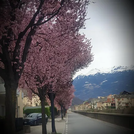 Dalu *